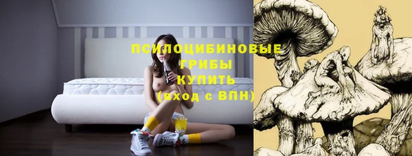 амф Алзамай