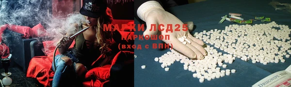 тгк Пересвет